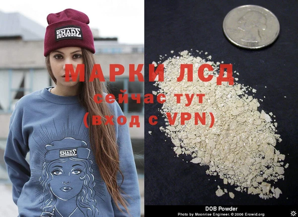 кокс Карпинск