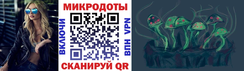 Купить где  Ладушкин  Псилоцибиновые грибы Psilocybine cubensis 